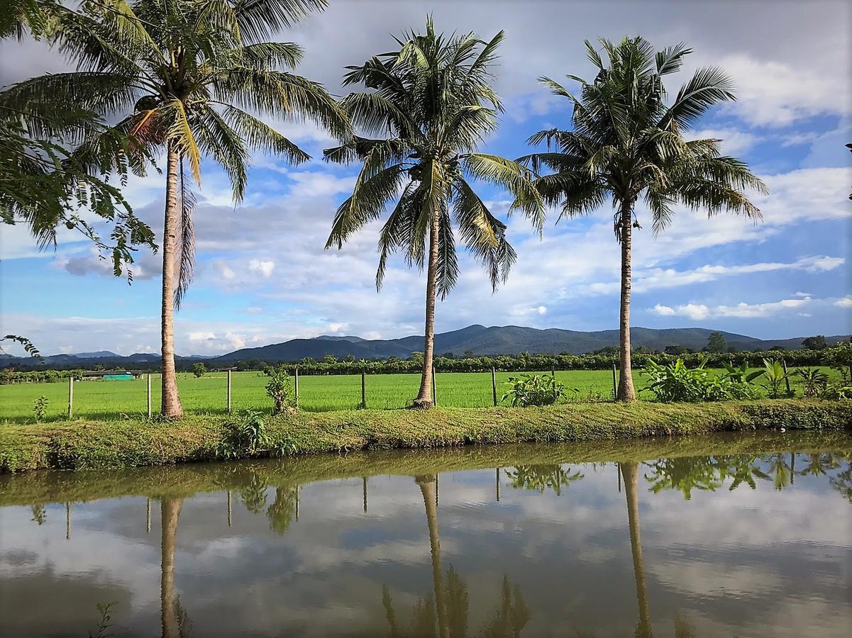 Le Cocotier Hotel Ban Cho Lae Bagian luar foto